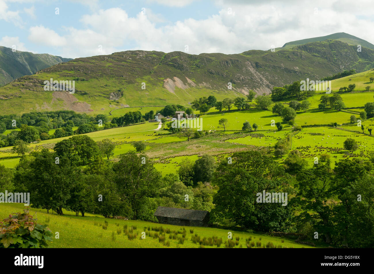 Newlands Valley, Lake District, Cumbria, Inghilterra Foto Stock
