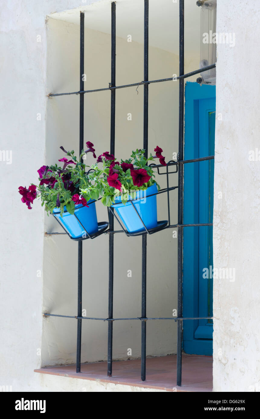 Due vasi blu su una finestra sbarrata Foto Stock