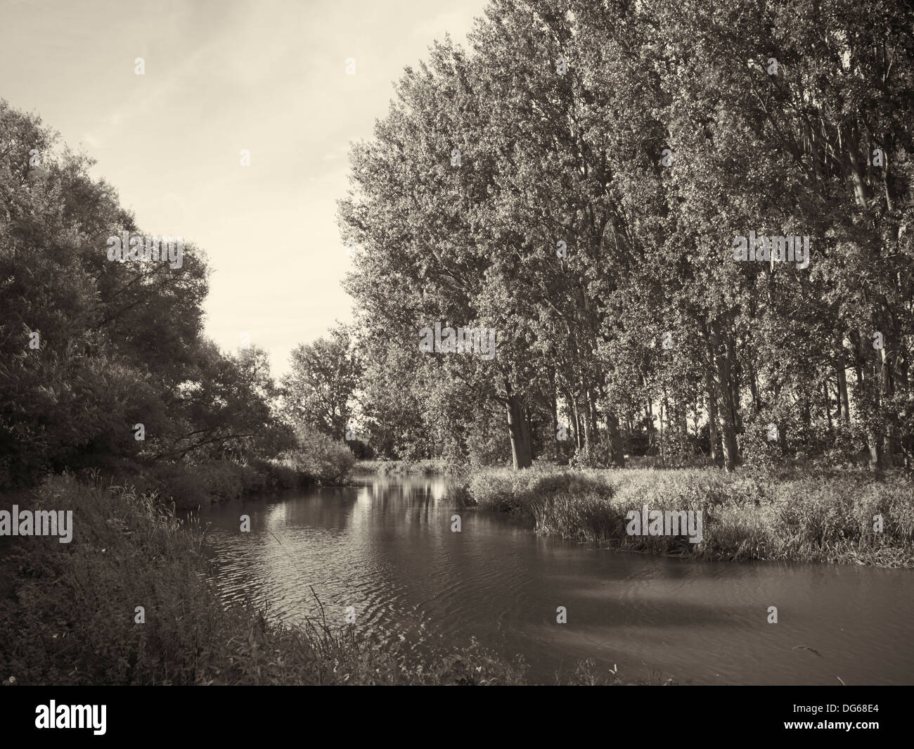 Il fiume Tamigi vicino a Newbridge, Inghilterra Foto Stock