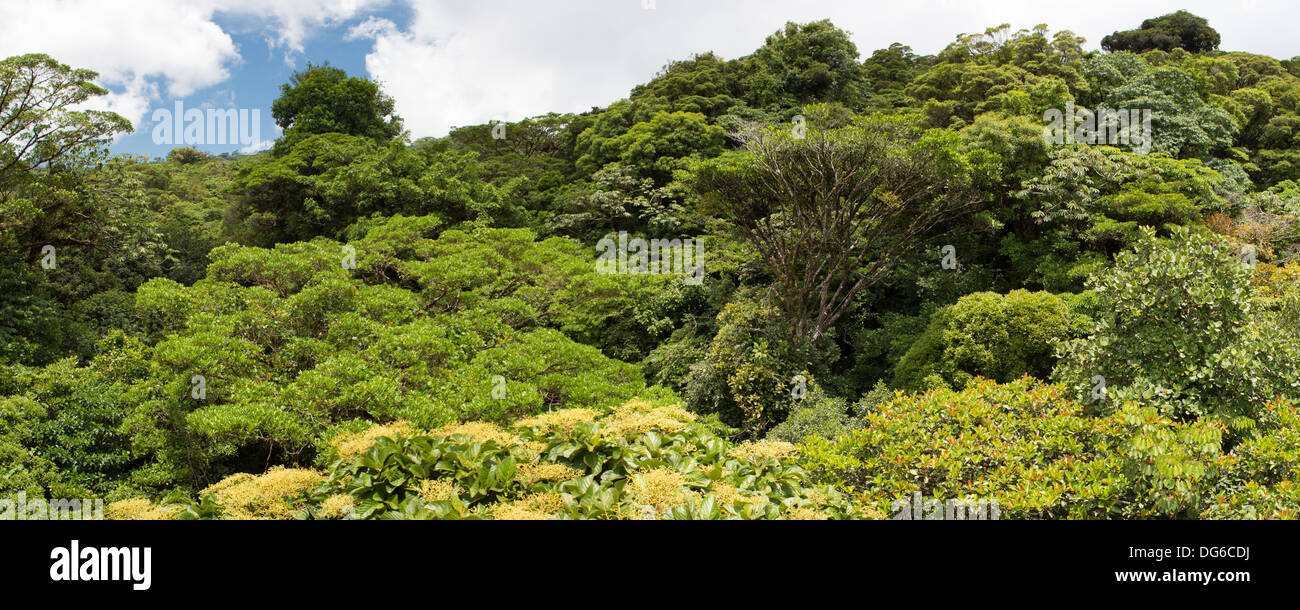 Vista panoramica di Santa Elena di Cloud Forest in Costa Rica Foto Stock