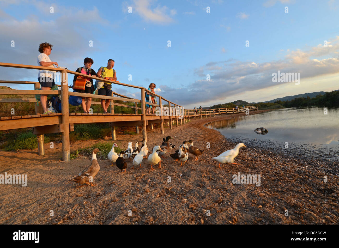 Persone alimentazione di anatre nel lago a ingresso di Binimel-la spiaggia, Es Mercadal Menorca Foto Stock