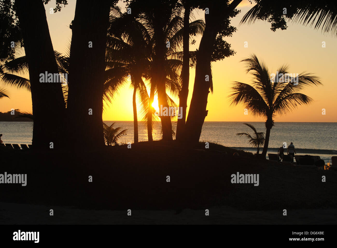 Tramonto tropicale in Giamaica Foto Stock