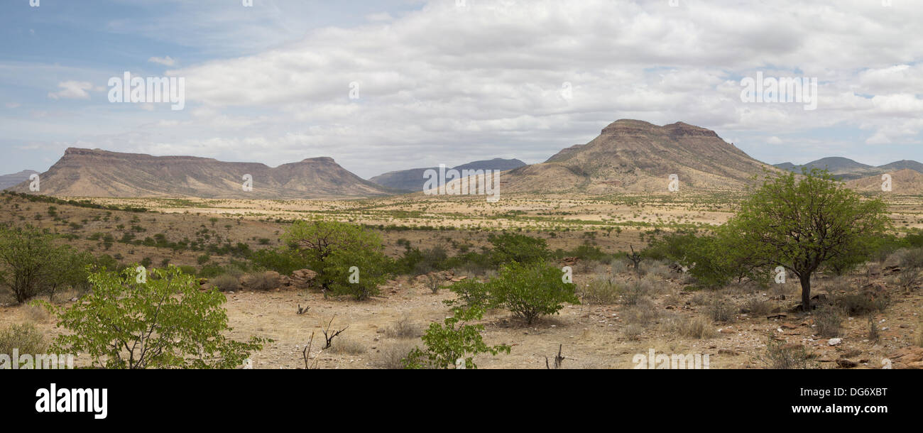 Paesaggio selvaggio nel Kaokoland deserto in Namibia. Foto Stock