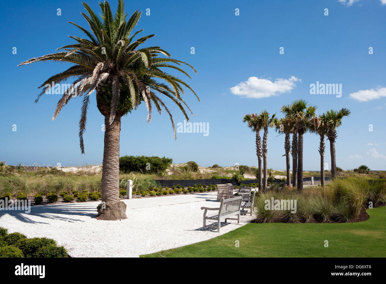 Grande parco delle dune - Jekyll Island, Georiga USA Foto Stock