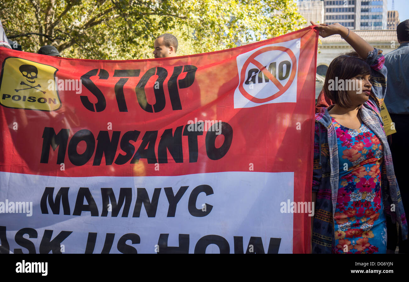 Gli attivisti protestano contro la Monsanto Company e alimenti geneticamente modificati. Foto Stock