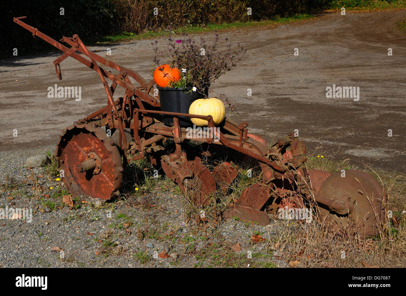 Le zucche su una vecchia fattoria aratro. Courtenay, Comox Valley, British Columbia, Canada Foto Stock