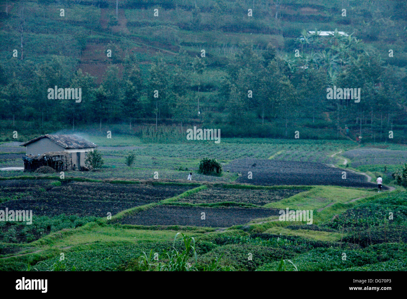 Una capanna di fango in serata nel villaggio Bweyeye, Rusizi District, Ruanda Foto Stock