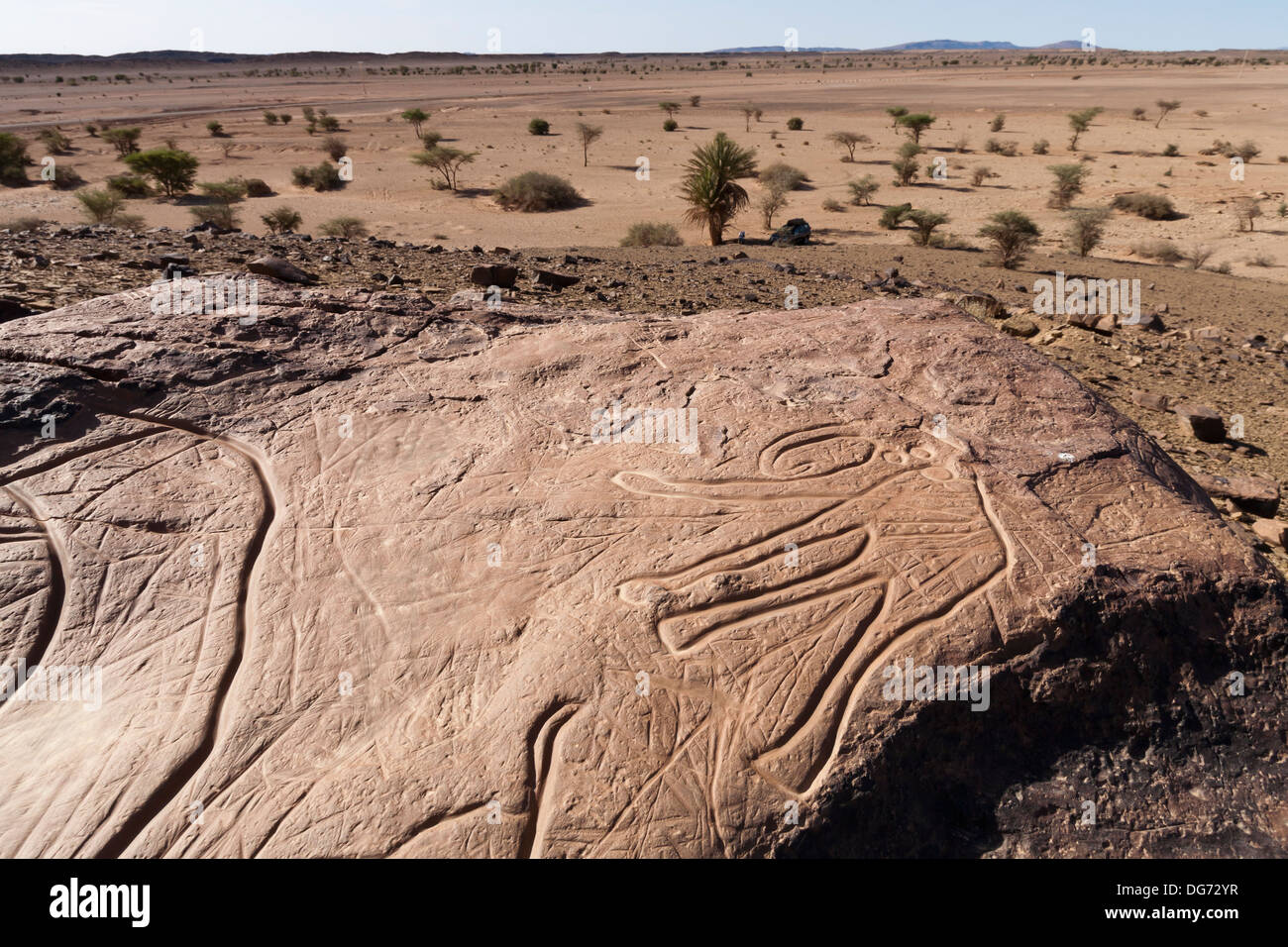 Preistoria le incisioni rupestri in-situ a Aman Ighribin sulla Tata ad Akka road in Marocco Foto Stock