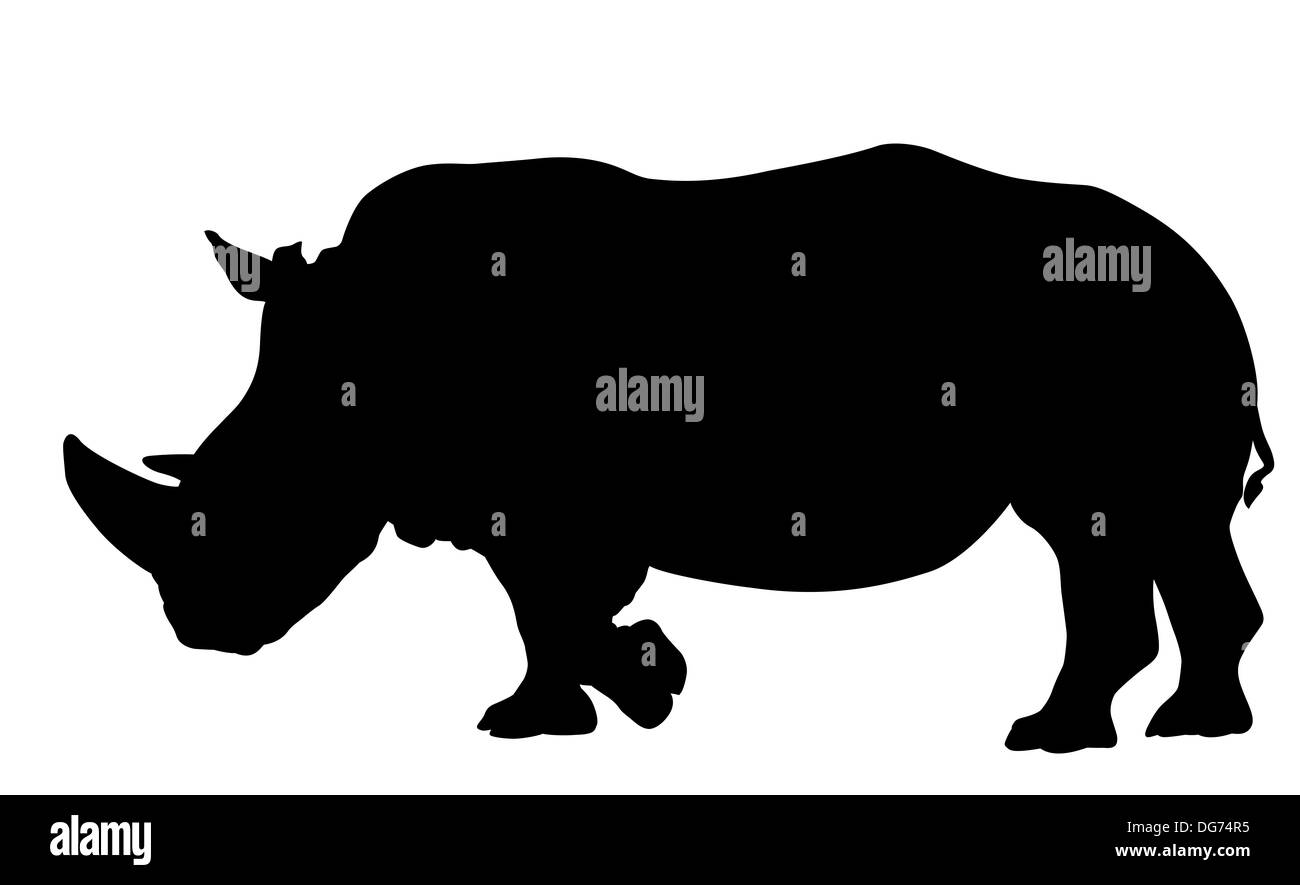 Silhouette di Rhino Foto Stock