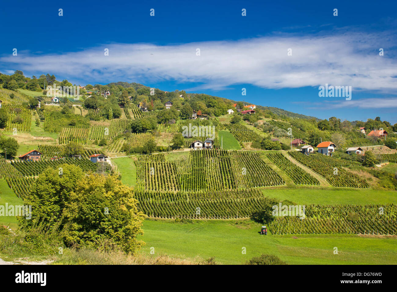 Idilliaco verde collina di vigneti e cottage area, Kalnik mountain, Croazia Foto Stock