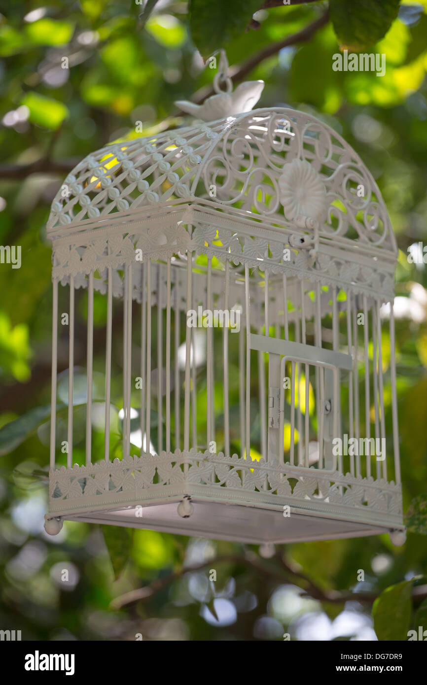 Svuotare bird-gabbia appeso a un albero, per le strade di Creta, Grecia , 2013. Foto Stock