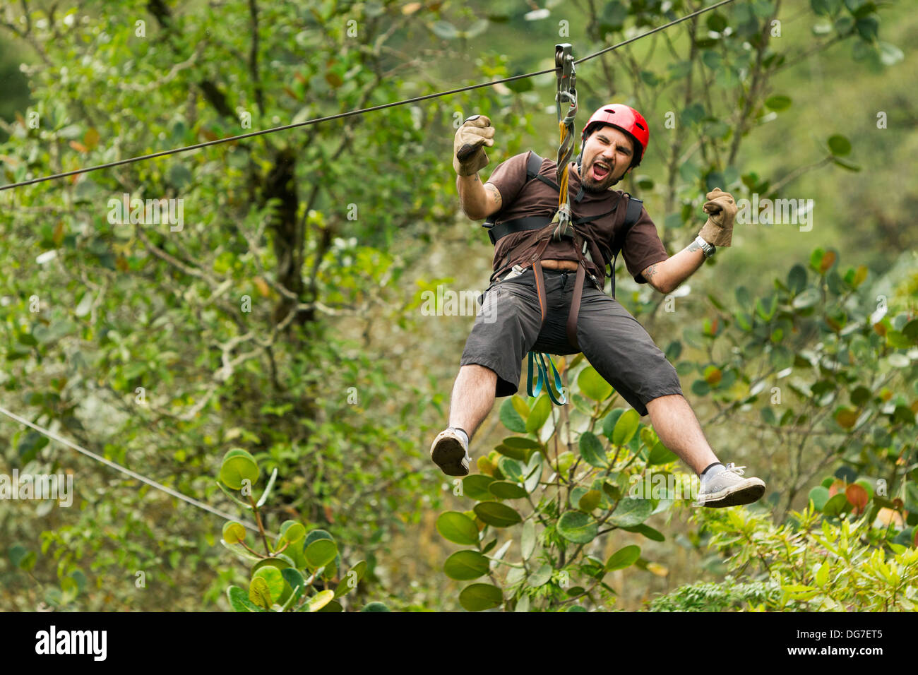 Un uomo sta facendo zipline attraverso una fitta foresta verde. Indossa un casco rosso, una t-shirt marrone, pantaloncini da carico scuri, guanti e scarpe da trekking, ed è fissato con un'imbracatura di sicurezza e un moschettone Foto Stock
