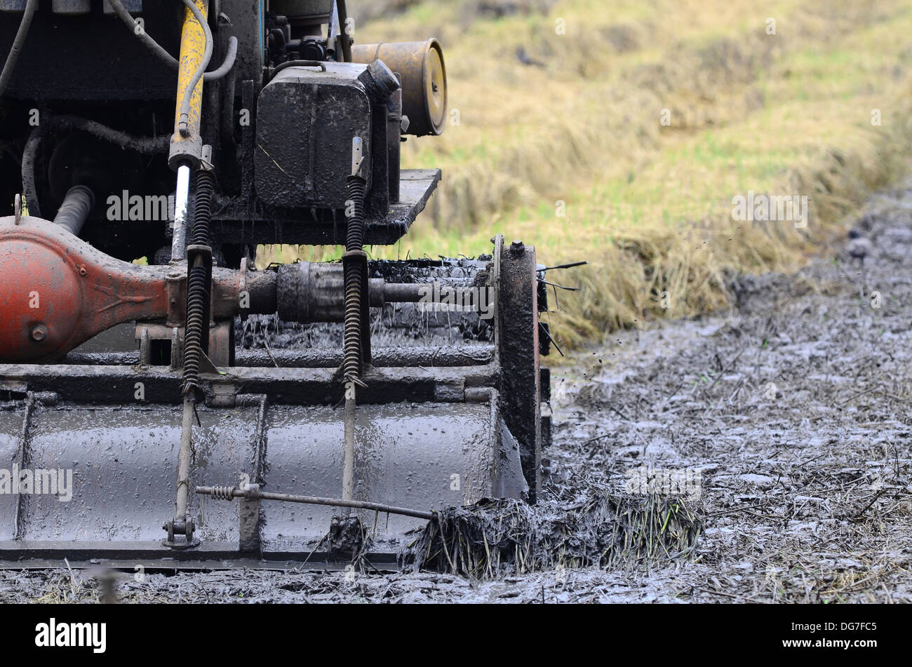 Trattore in aratura paddy Foto Stock