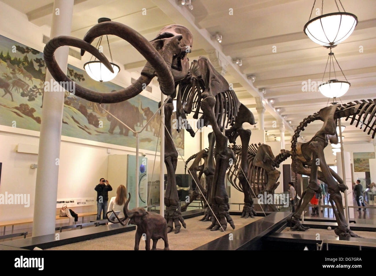 Visualizzazione di un gigantesco scheletro presso il Museo Americano di Storia Naturale di New York City. Foto Stock