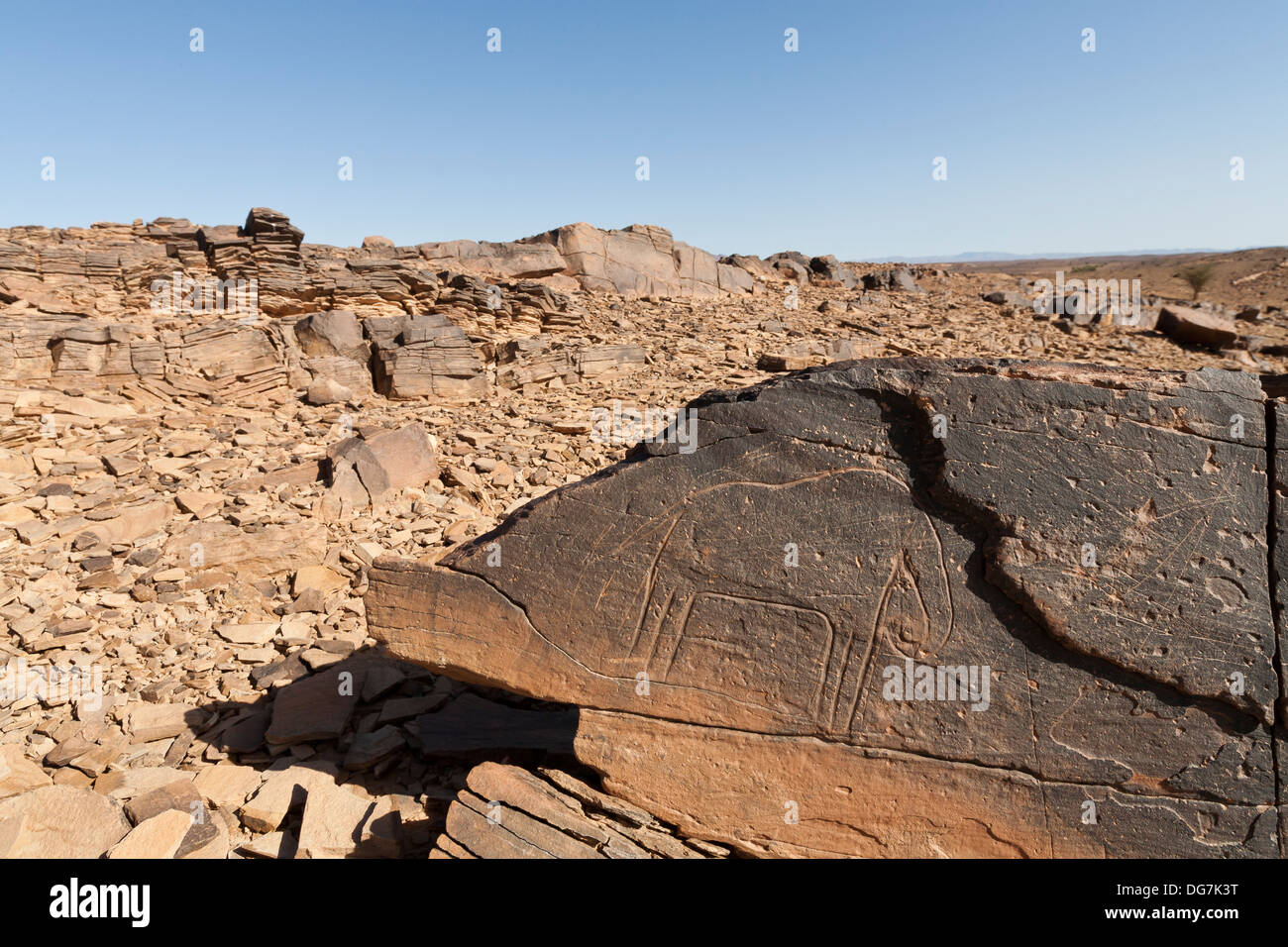 Preistoria le incisioni rupestri di Aman Ighribin sulla Tata ad Akka road in Marocco Foto Stock