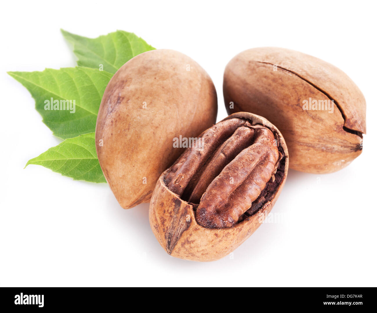 Noci Pecan con foglie isolate su uno sfondo bianco. Foto Stock