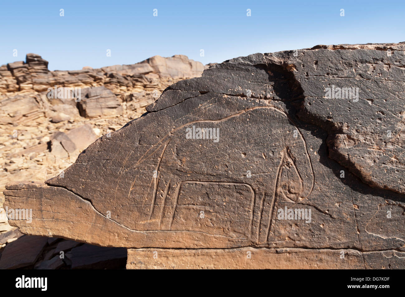 Preistoria le incisioni rupestri di Aman Ighribin sulla Tata ad Akka road in Marocco Foto Stock