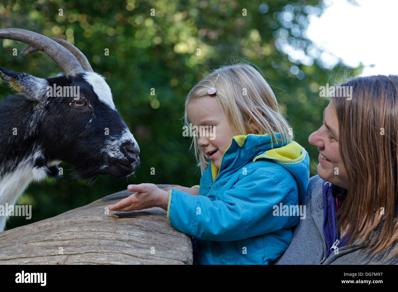 Bambina alimentando una capra, sua madre mentre tiene il suo Foto Stock