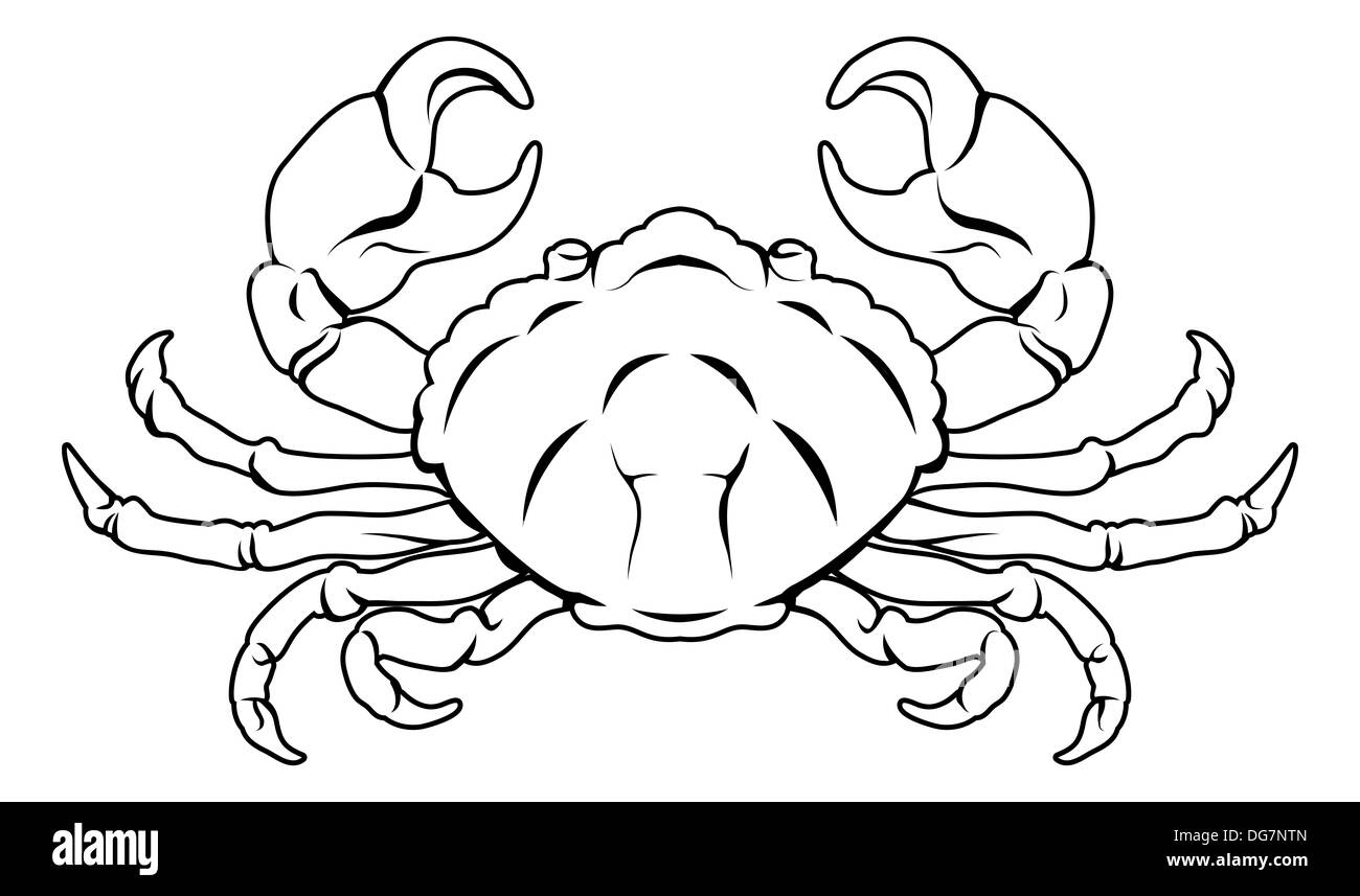 Crab drawing Immagini e Fotos Stock Pagina 3 Alamy. 