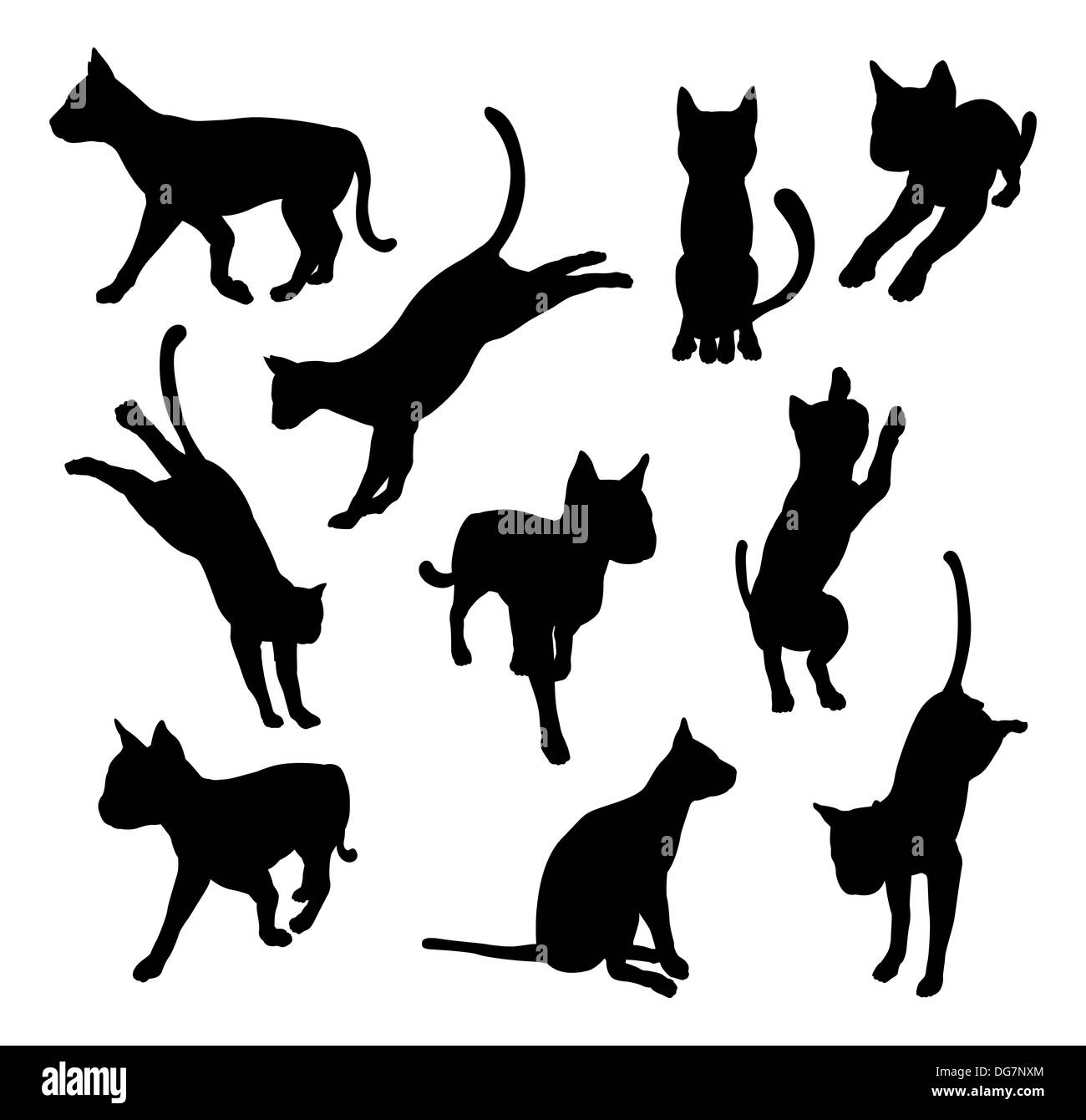 Un set di pet cat sagome tra cui il gatto giocando, salto e passeggiate Foto Stock