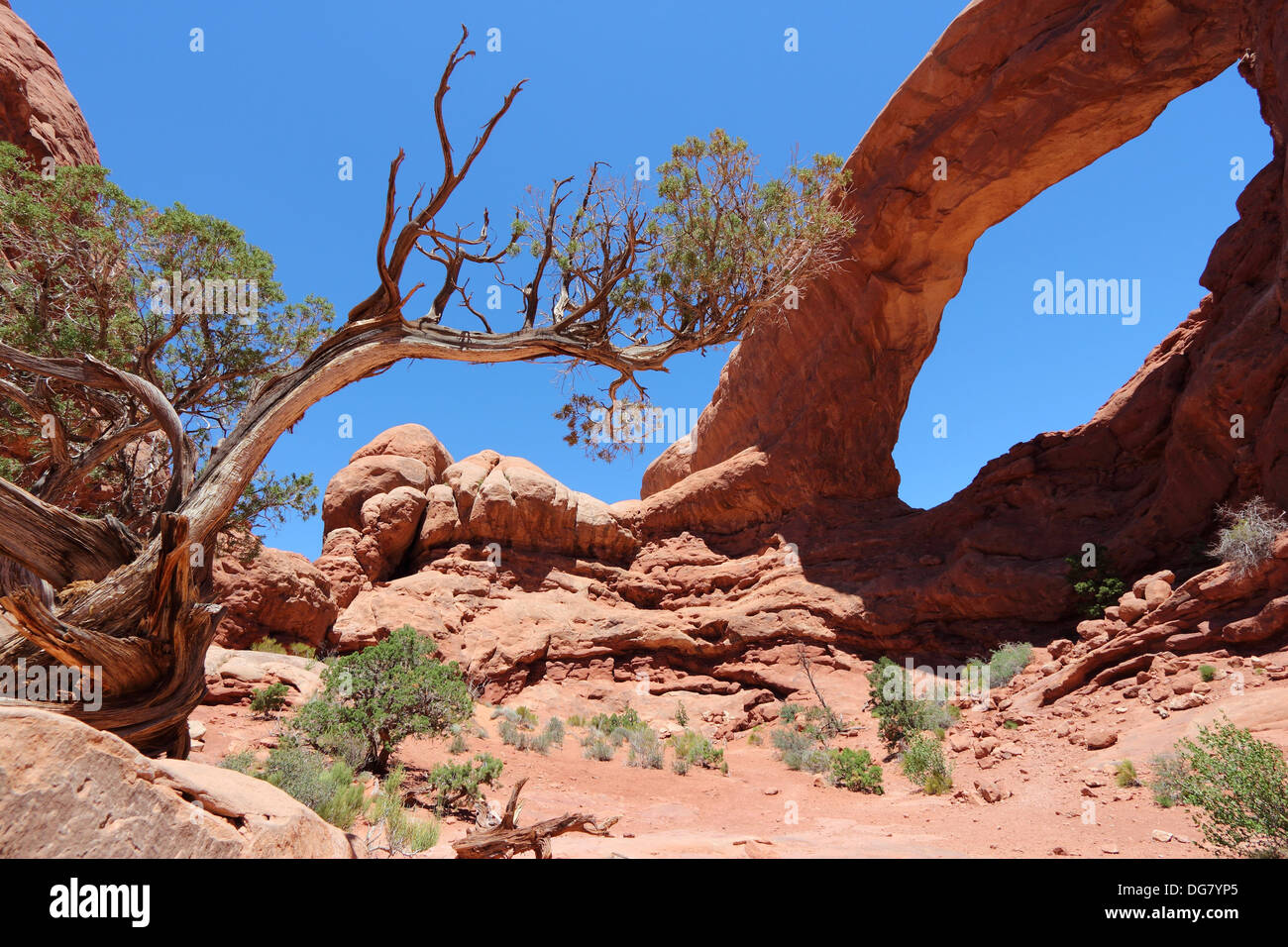 Arches National Park nello Utah, Stati Uniti d'America. Famosa finestra Arch. Foto Stock