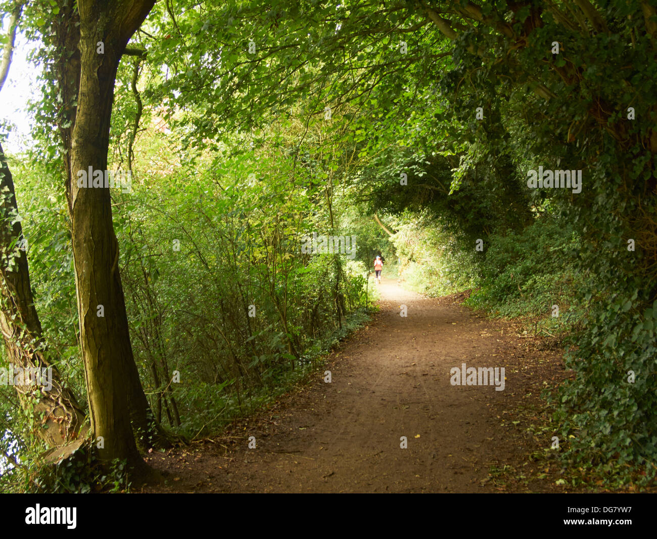 Il Thames Path a Henley on Thames Oxfordshire England Regno Unito Foto Stock