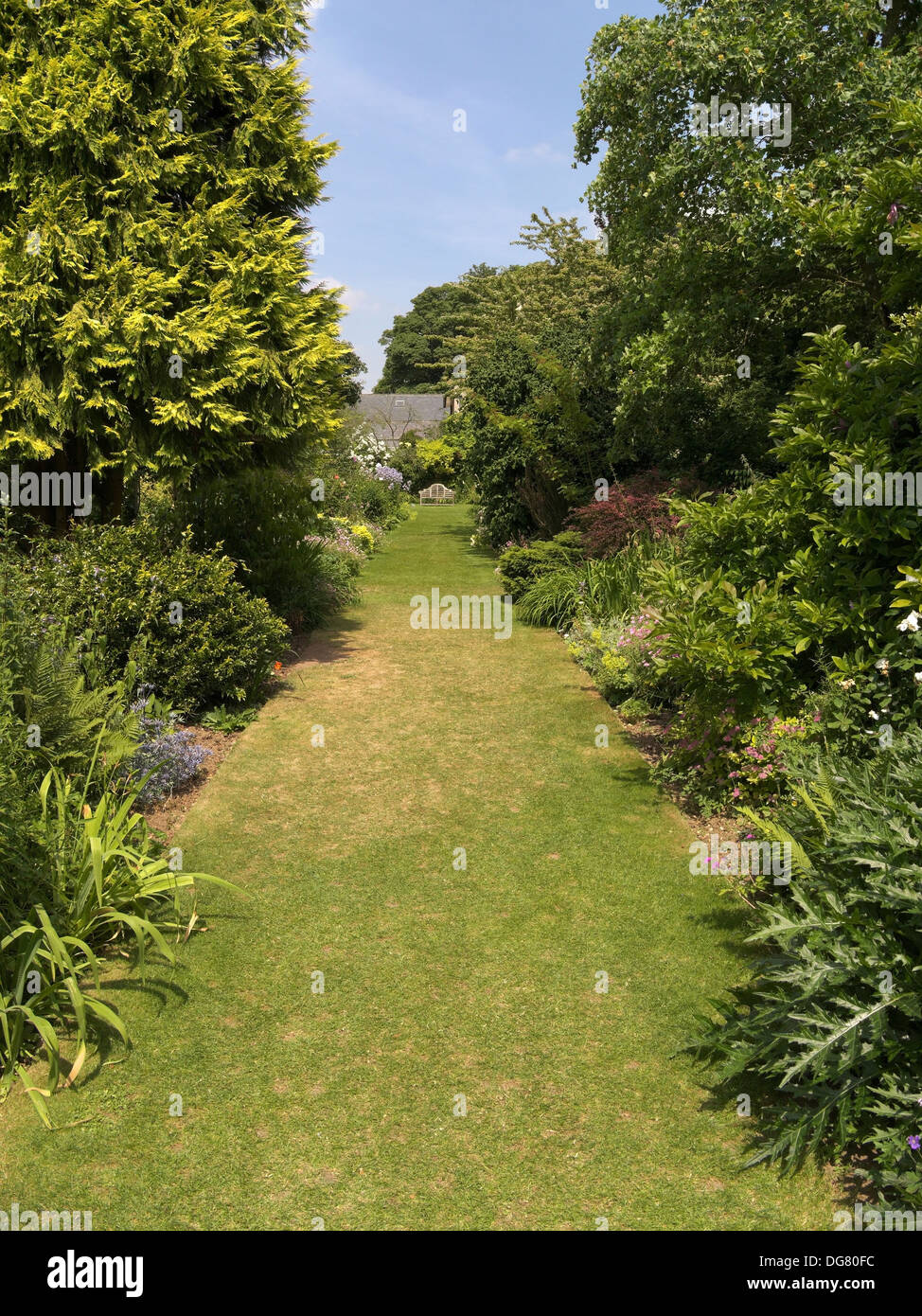 Il verde prato avenue e frontiere, Barnsdale Gardens, Oakham, Rutland, Inghilterra, Regno Unito. Foto Stock