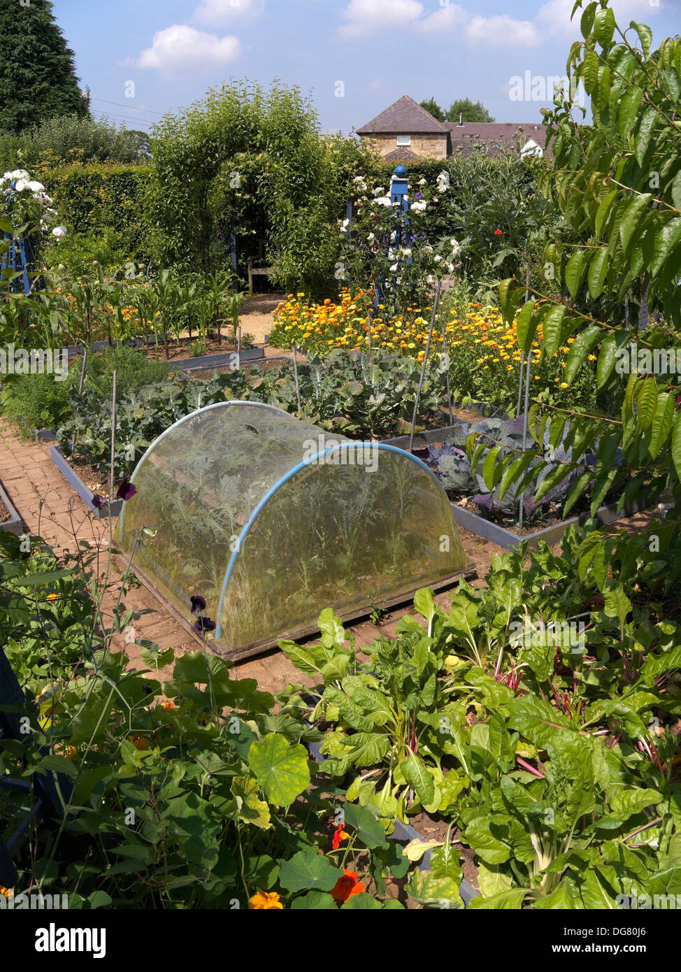 Sollevate i letti, orto, Barnsdale Gardens, Oakham, Rutland, Inghilterra, Regno Unito. Foto Stock