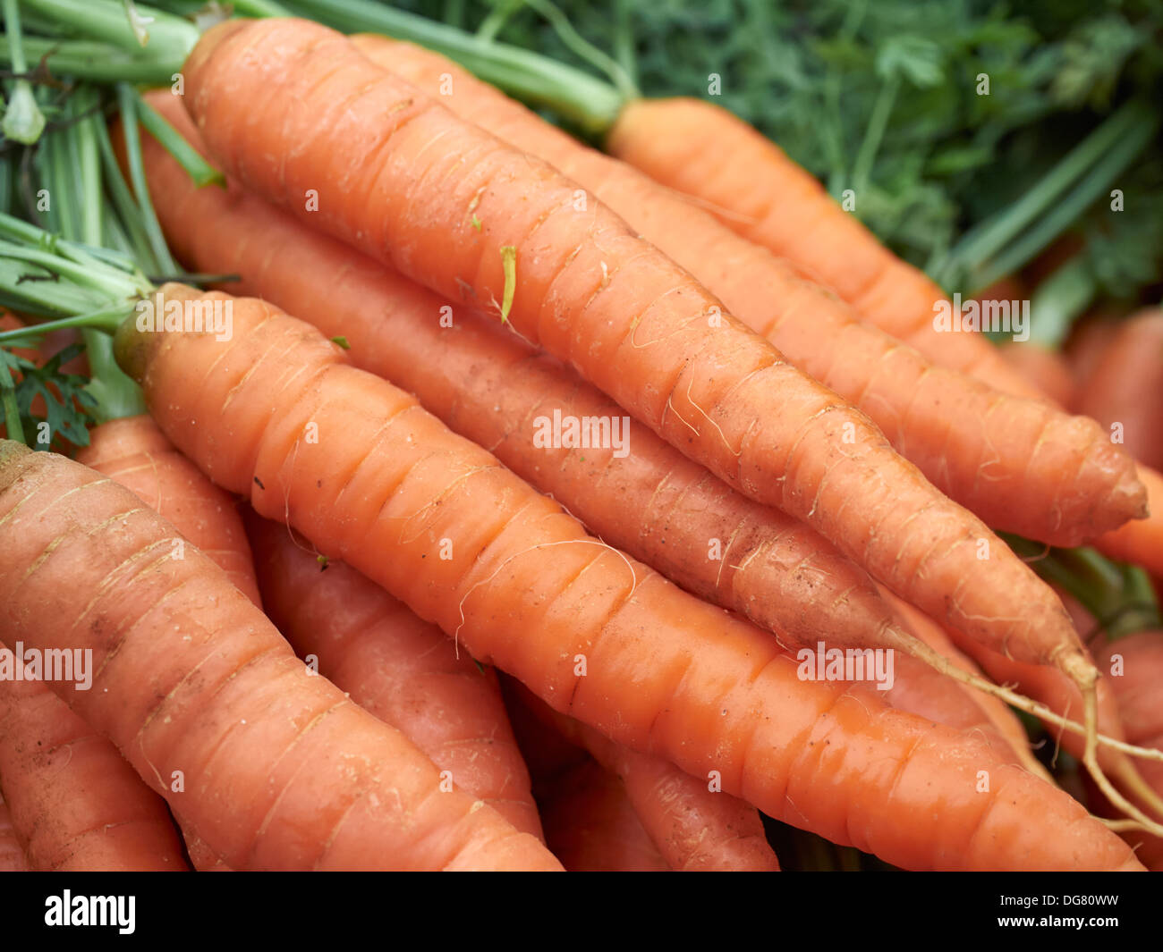 Le carote nel mercato, Henley on Thames, Inghilterra Foto Stock