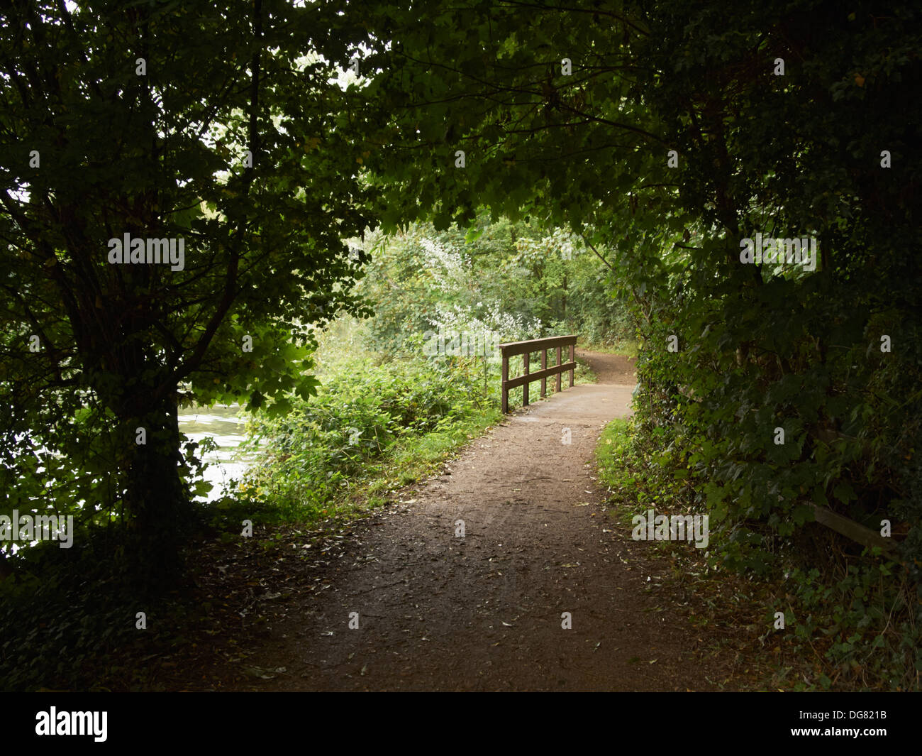 Il Thames Path a Henley on Thames Oxfordshire England Regno Unito Foto Stock