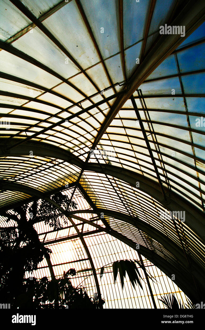 Kew Garden casa di vetro la casa delle palme, le temperate House presso i Giardini di Kew Foto Stock