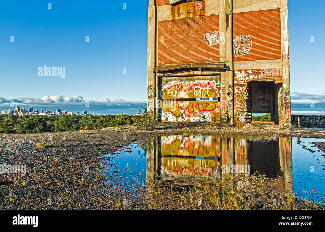 Il Detroit Packard tetto vegetale Foto Stock