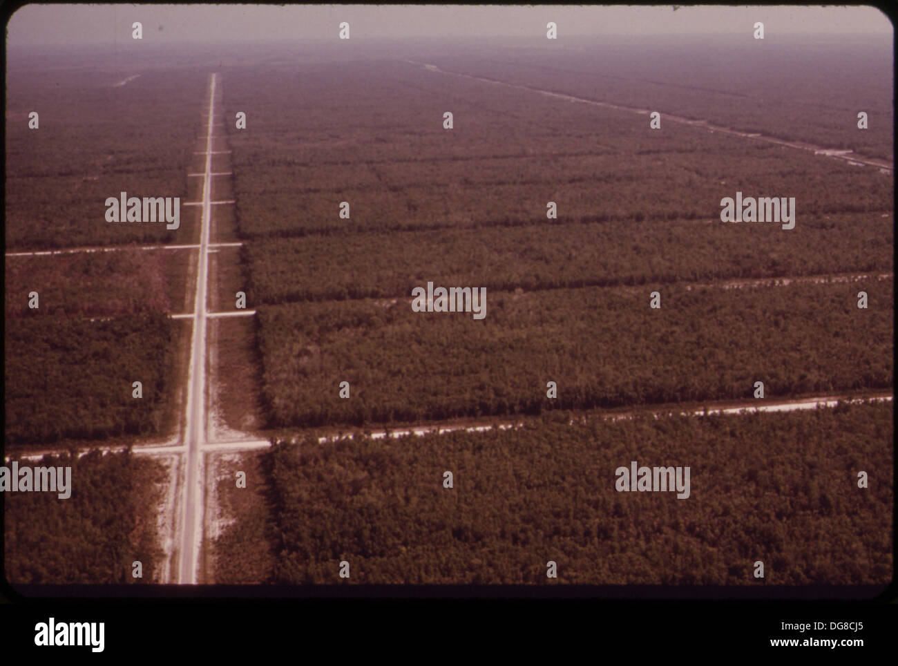 I canali di drenaggio nella contea di Collier, Florida, attraversano le Everglades, parte degli sforzi di sviluppo del territorio nell'area. Foto Stock I canali di drenaggio nella contea di Collier, Florida, attraversano le Everglades, parte degli sforzi di sviluppo del territorio nell'area. Foto Stock