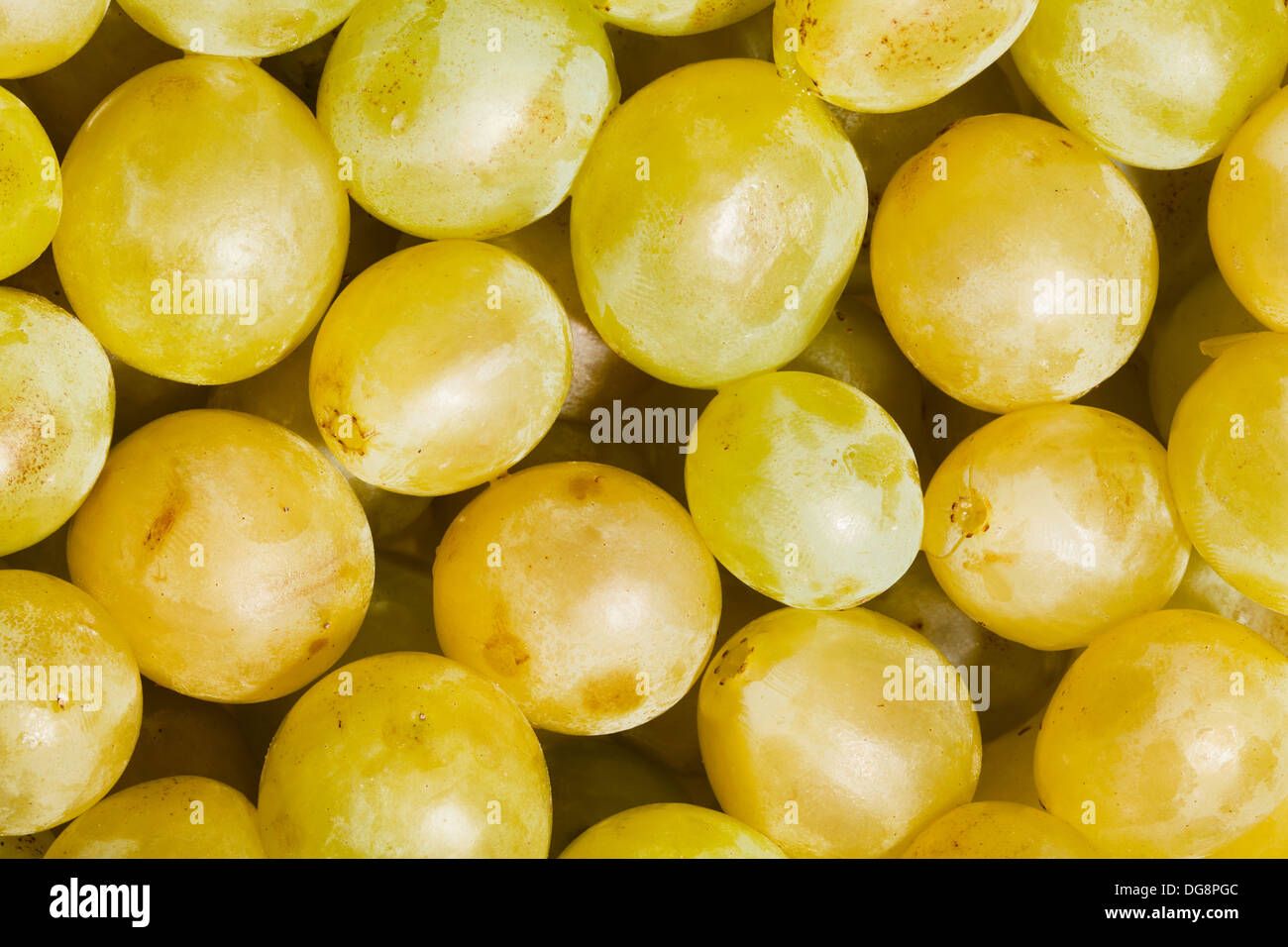 Uva moscato berry piastrella molti Foto Stock