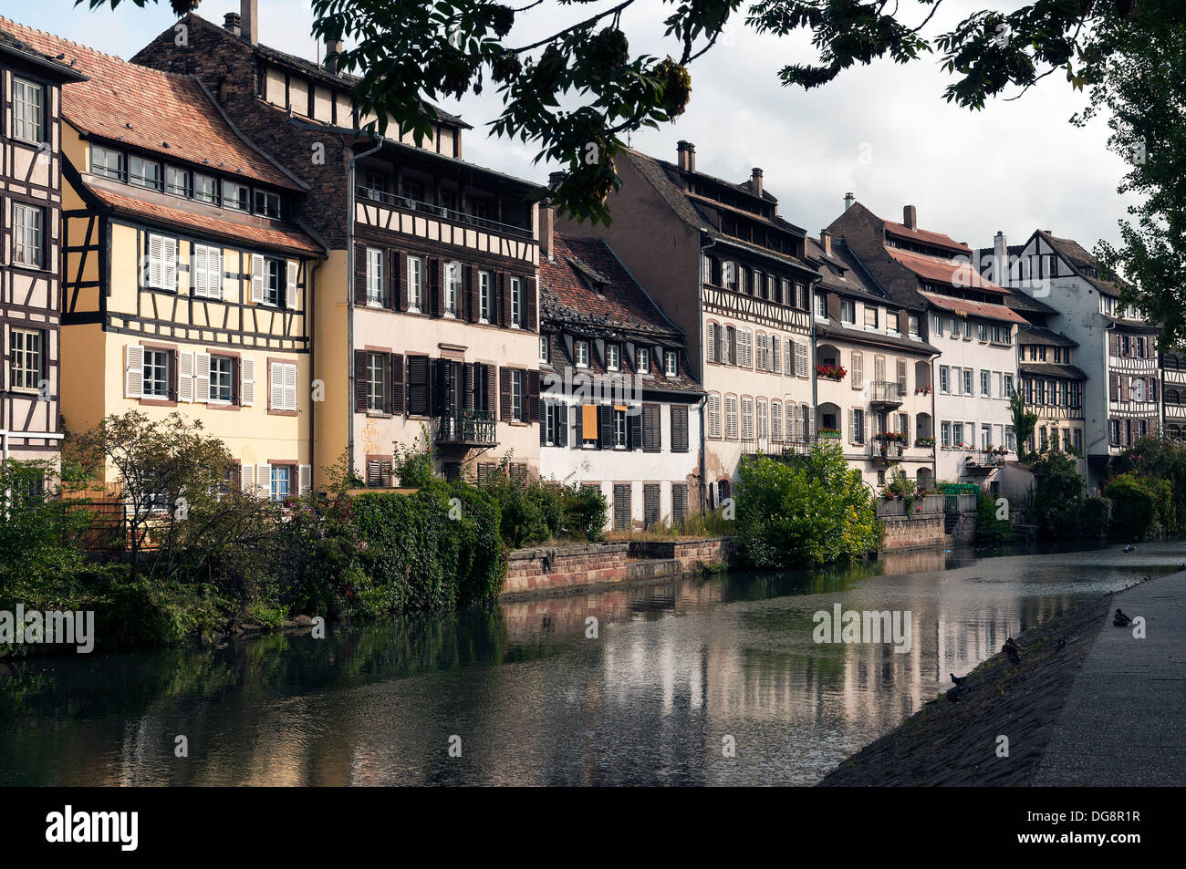 Elk213-1076 Francia, Alsazia, Strasburgo, La Petite France, canal con tipiche case a graticcio Foto Stock