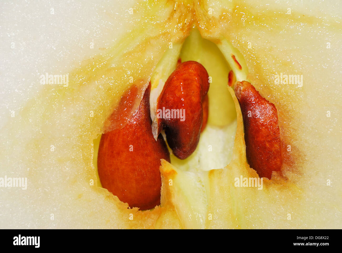 Apple Core macro closeup shot che mostra le sementi Foto Stock