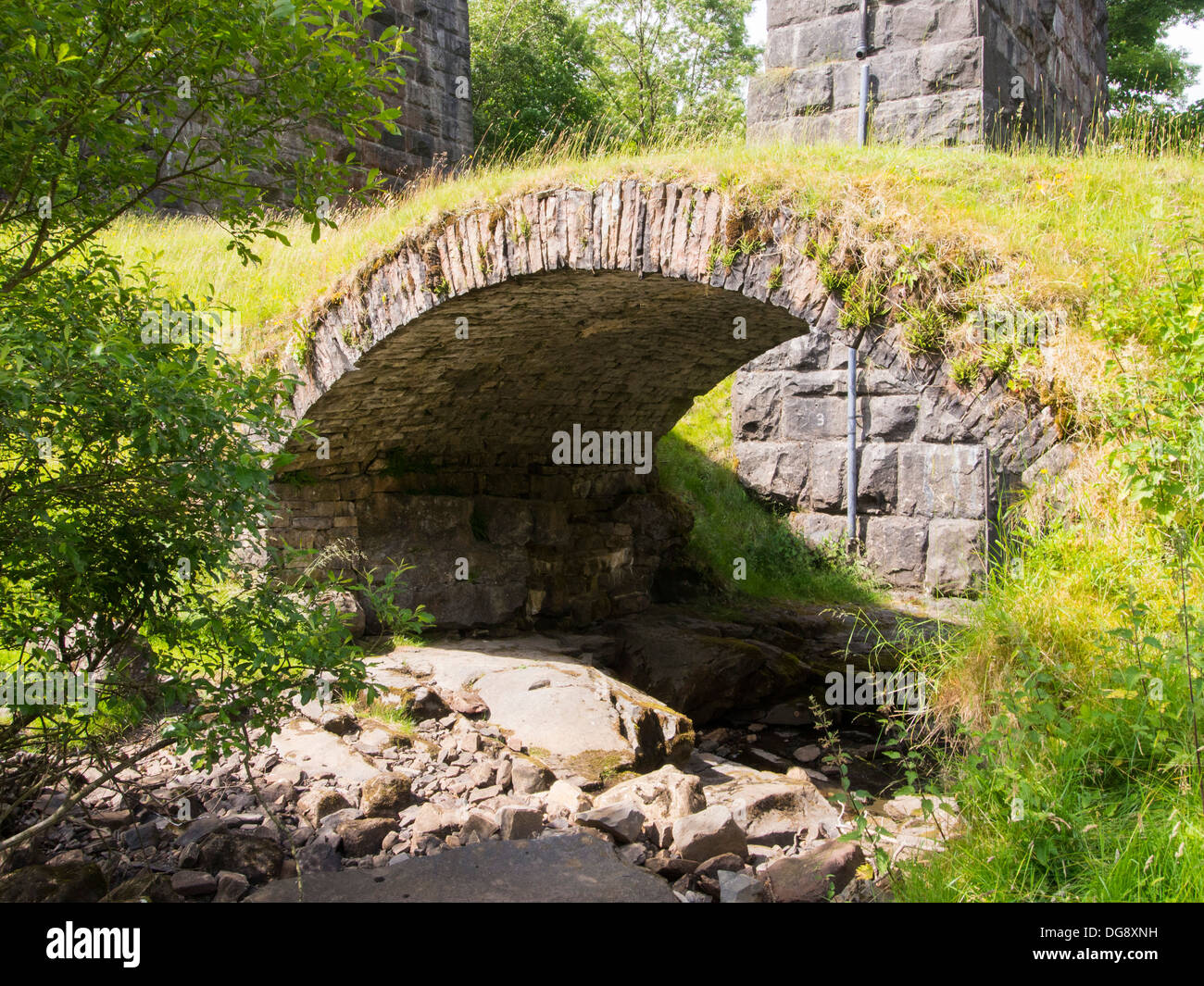 Un antico ponte packhorse in Dentdale, Yorkshire Dales National Park, Regno Unito. Foto Stock