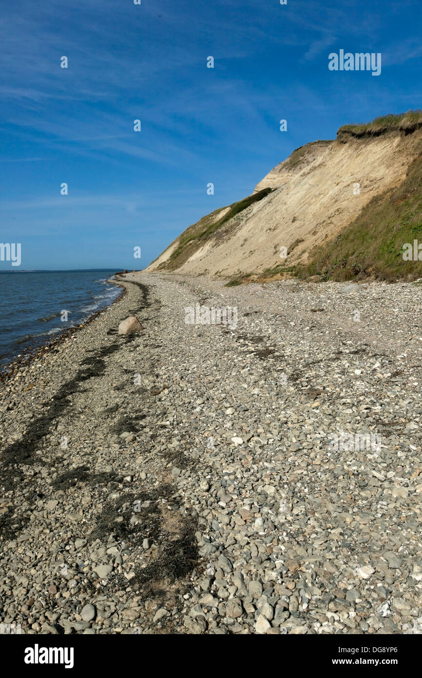 Linea costiera a Salgerhoej scogliere. Mors, Danimarca. Foto Stock