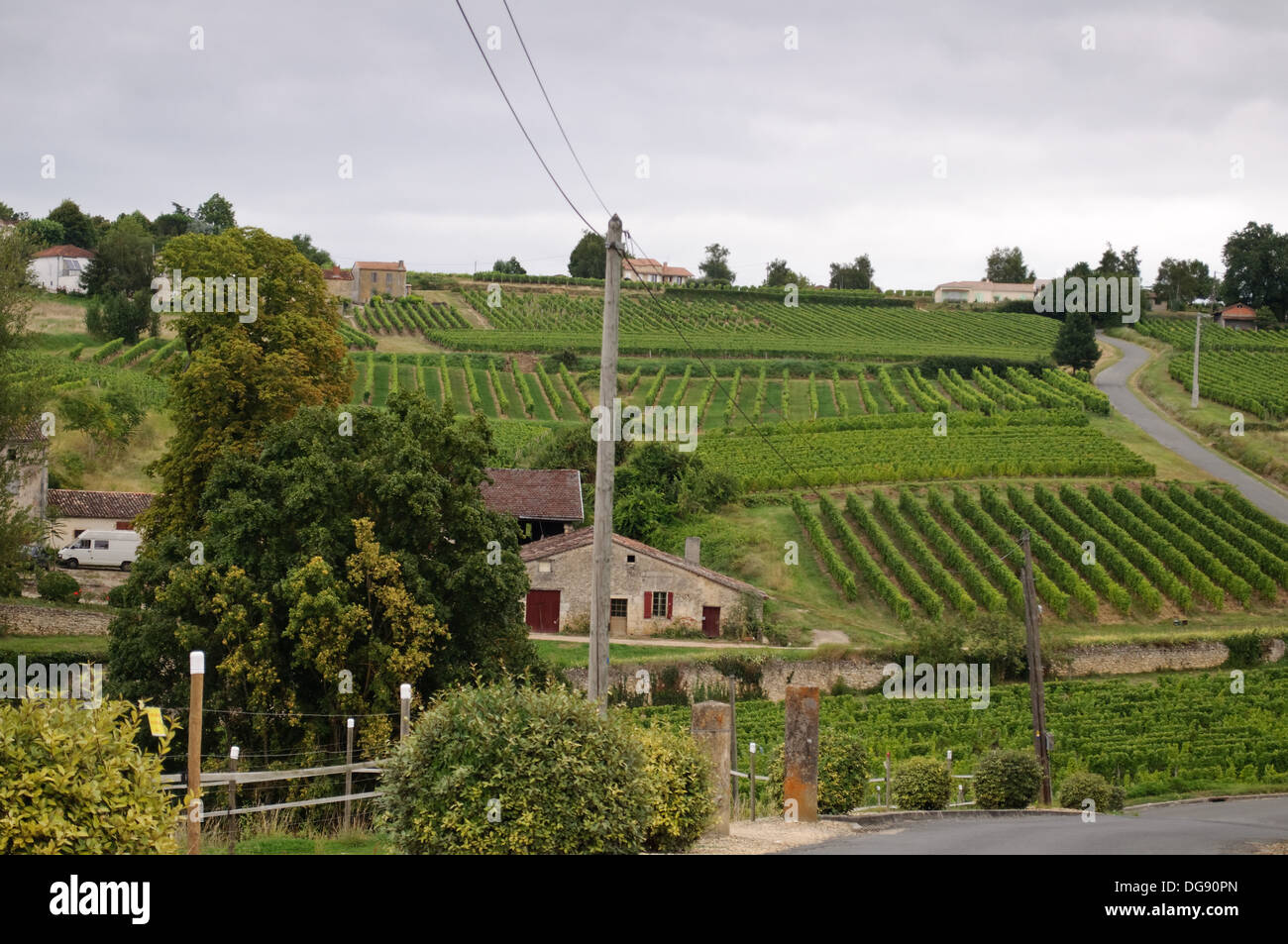 Vigneti di Sainte-Croix-du-Mont nella regione dei vini di Bordeaux di Francia Foto Stock