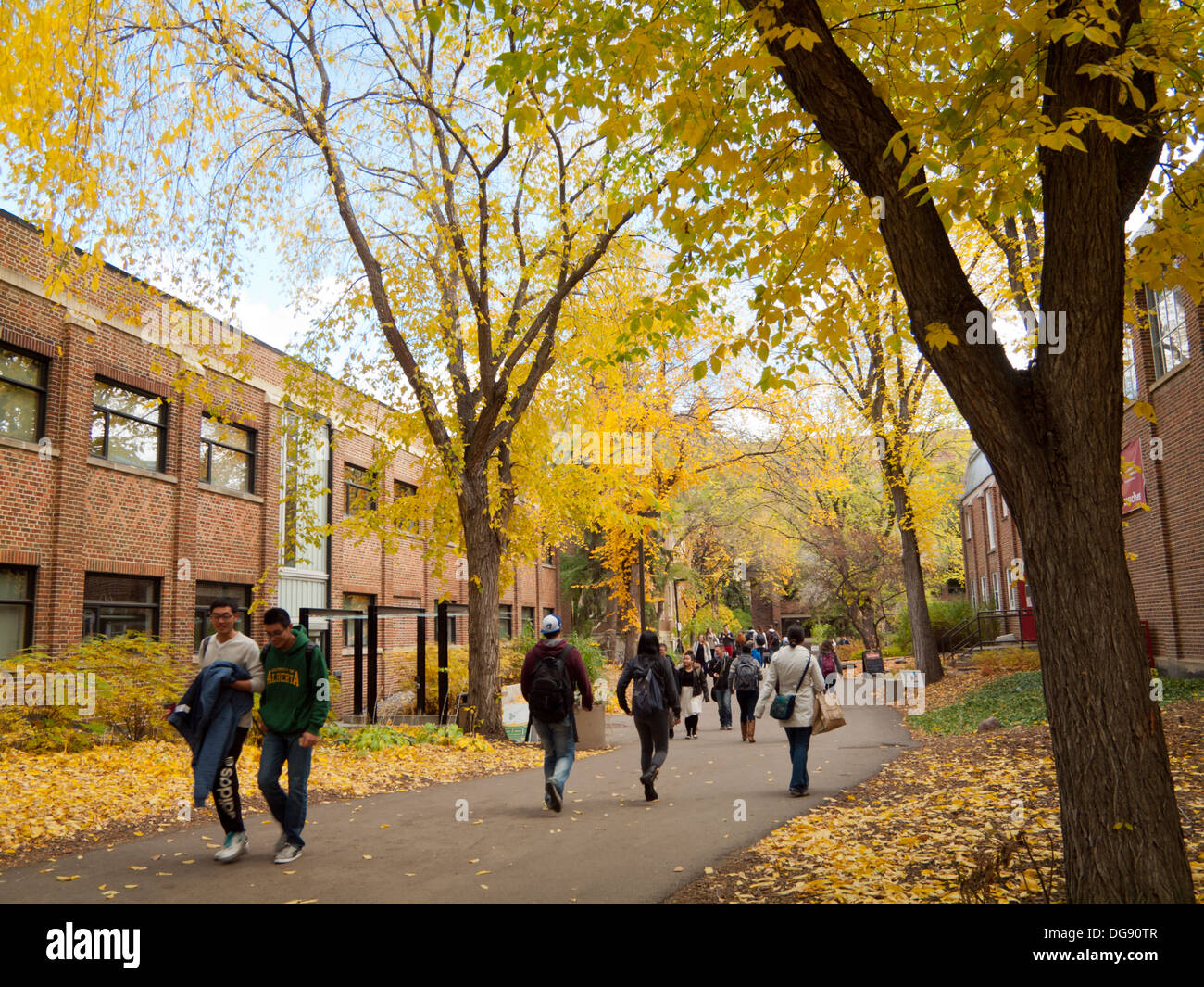 Gli studenti universitari durante la caduta (autunno) semestre all'Università di Alberta in Edmonton, Alberta, Canada. Foto Stock