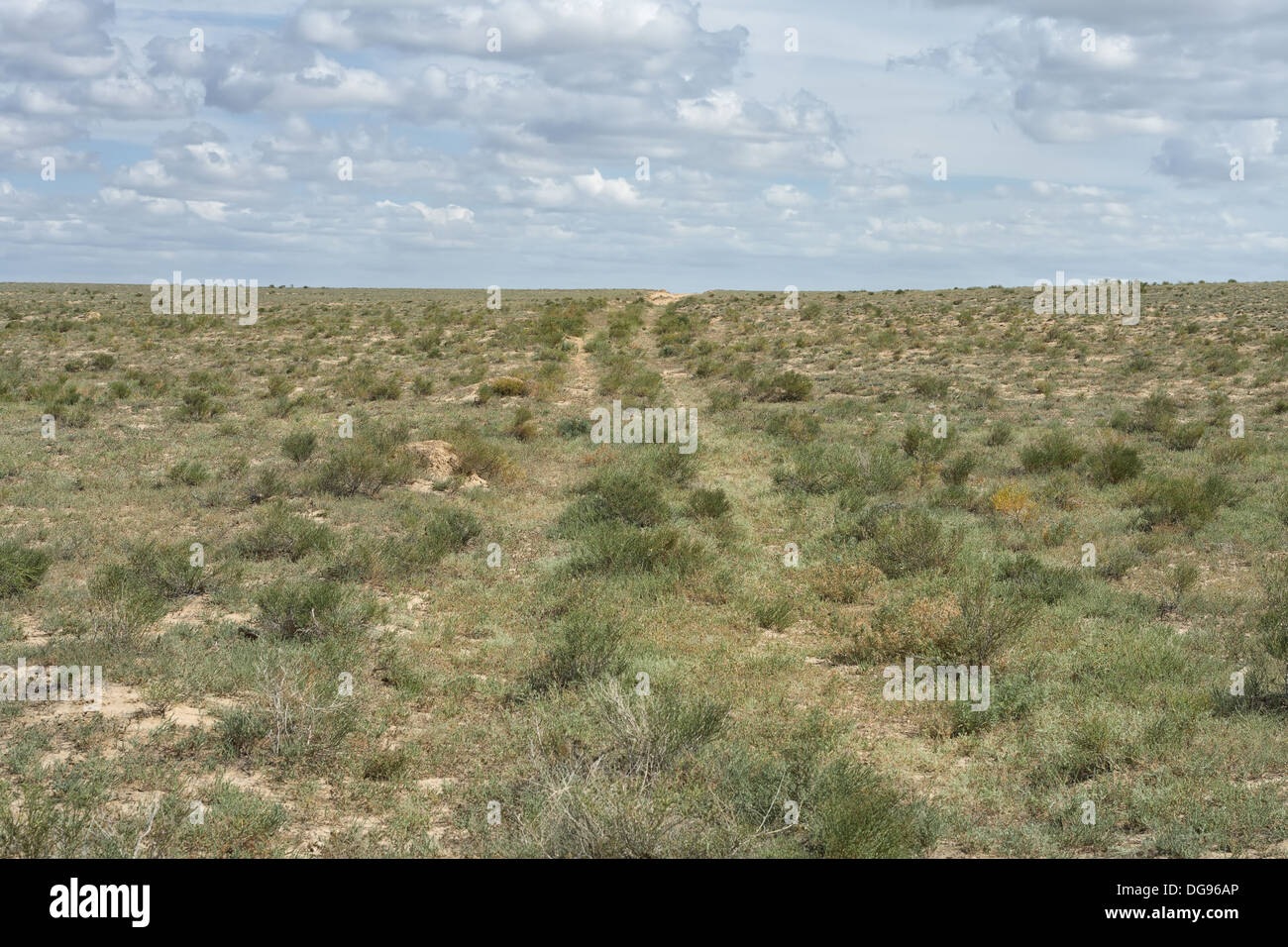 Road, avventura, sfondo, cloud, sky, deserto, direzione, essiccato, erba, secco, off-road, percorso, prospettiva, sabbia, Sandy, terreno Foto Stock