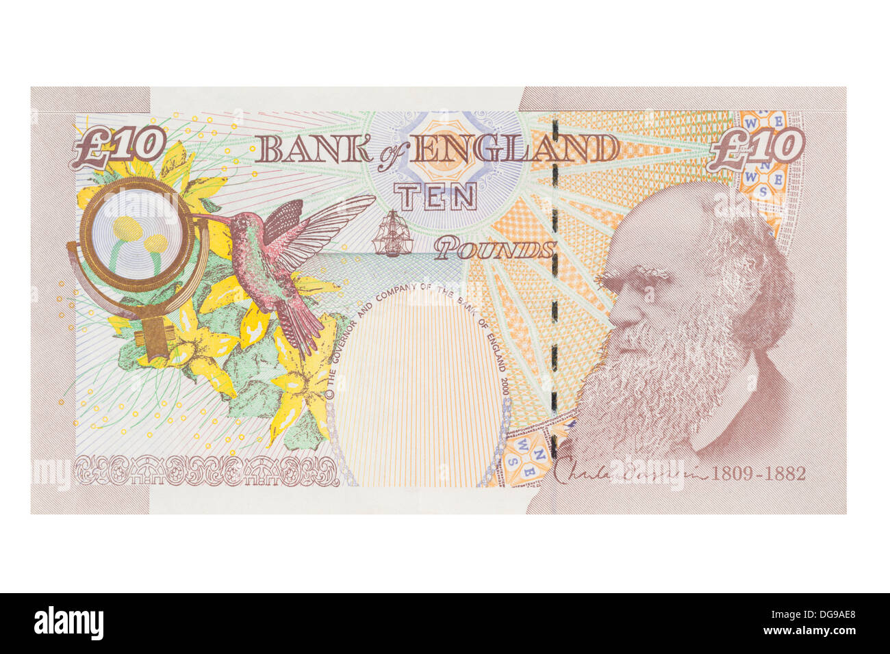 Inglese dieci pound nota su sfondo bianco Foto Stock