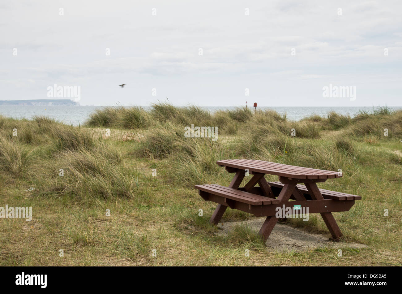 Testa Hengistbury fuori stagione scena sulla spiaggia con un vuoto Tavolo picnic in erba secca, nuvole grigie e Isola di Wight in distanza. Foto Stock