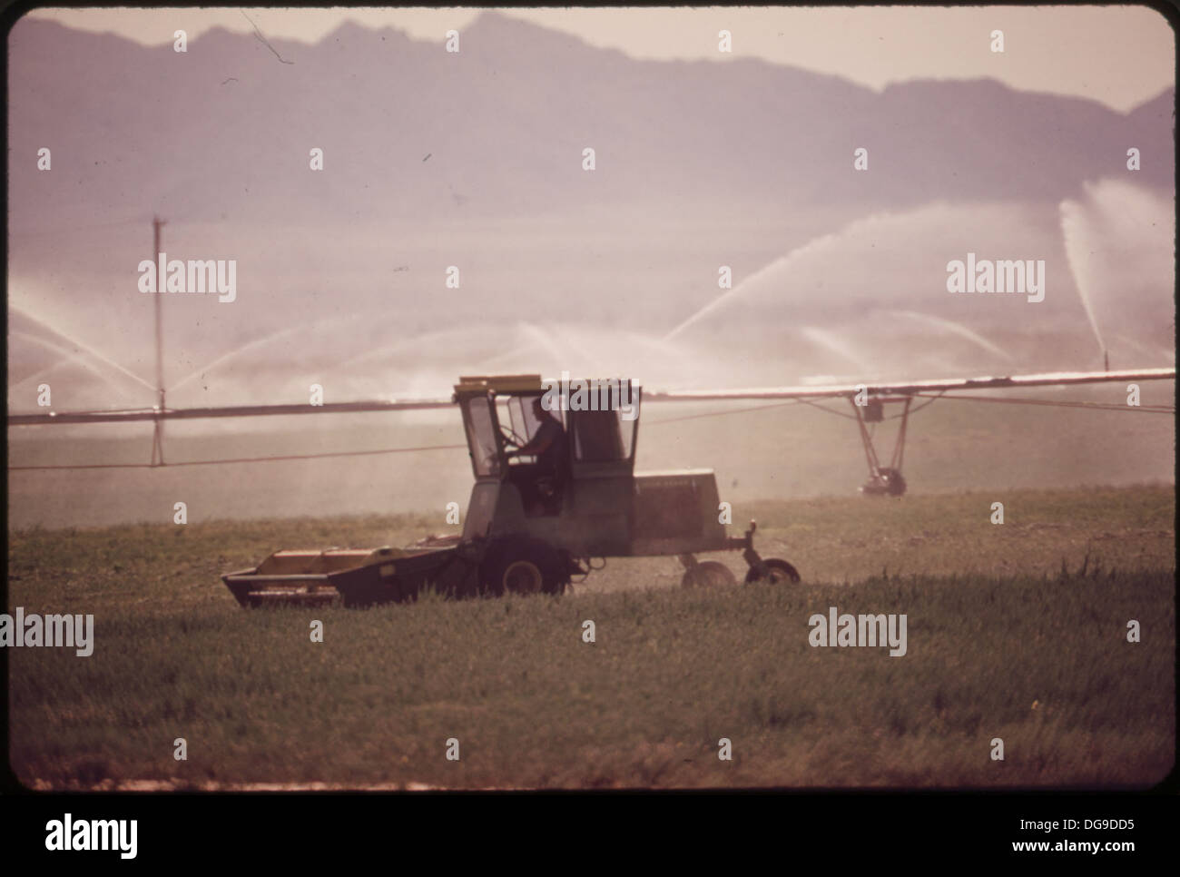 La fotografia mostra le attività agricole nell'area di Parker Valley, situata in Arizona. La regione è conosciuta per la sua produzione agricola, comprese colture come il cotone, e mostra lo stile di vita rurale degli Stati Uniti sud-occidentali. Foto Stock