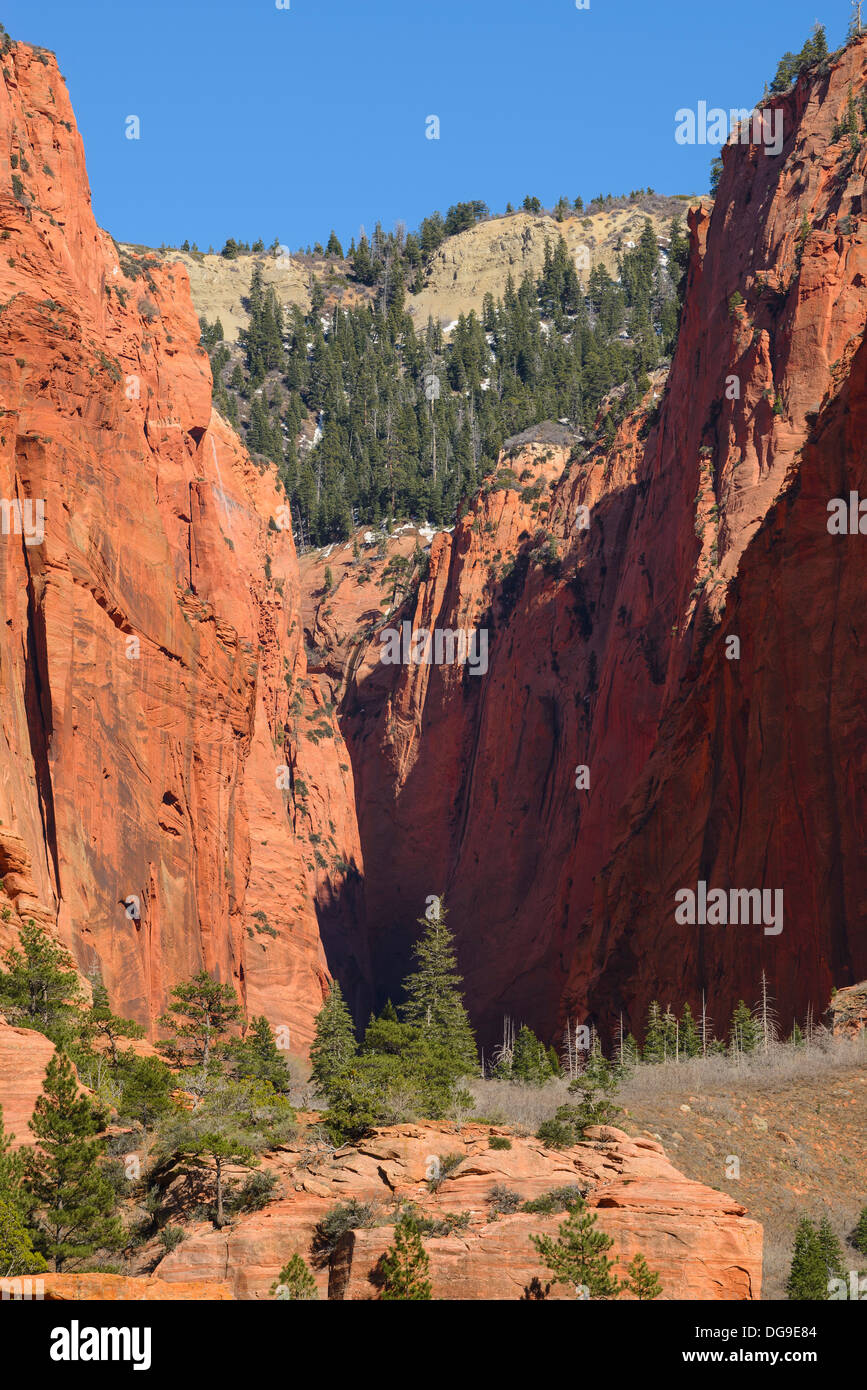 Kolob Canyon, il Parco Nazionale di Zion, Utah, Stati Uniti d'America Foto Stock