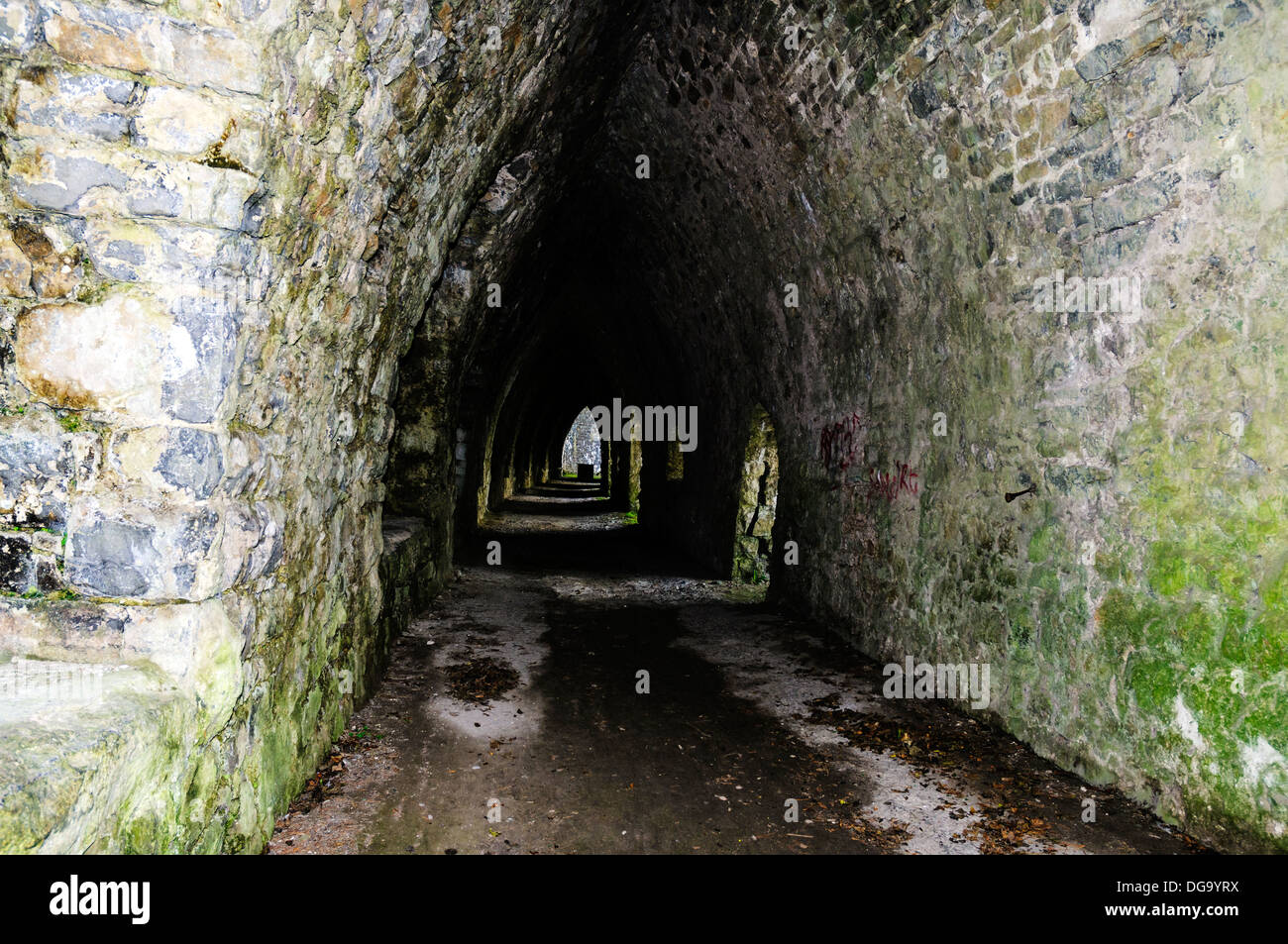 Una spettacolare banca del XIX secolo le fornaci da calce alloggiato in un tunnel ad arco di circa conci di pietra a forno Park, Penally Foto Stock