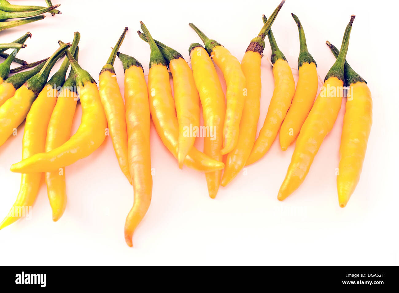 Peperoncino isolati su sfondo bianco Foto Stock