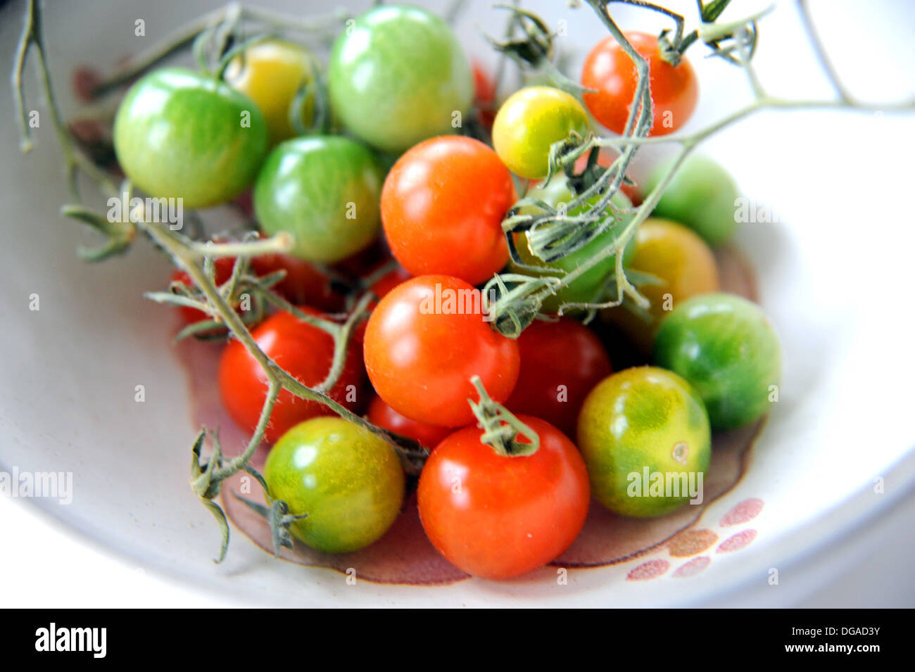 Cresciuto in casa verde e rosso e i pomodori ciliegia maturazione in una ciotola Foto Stock