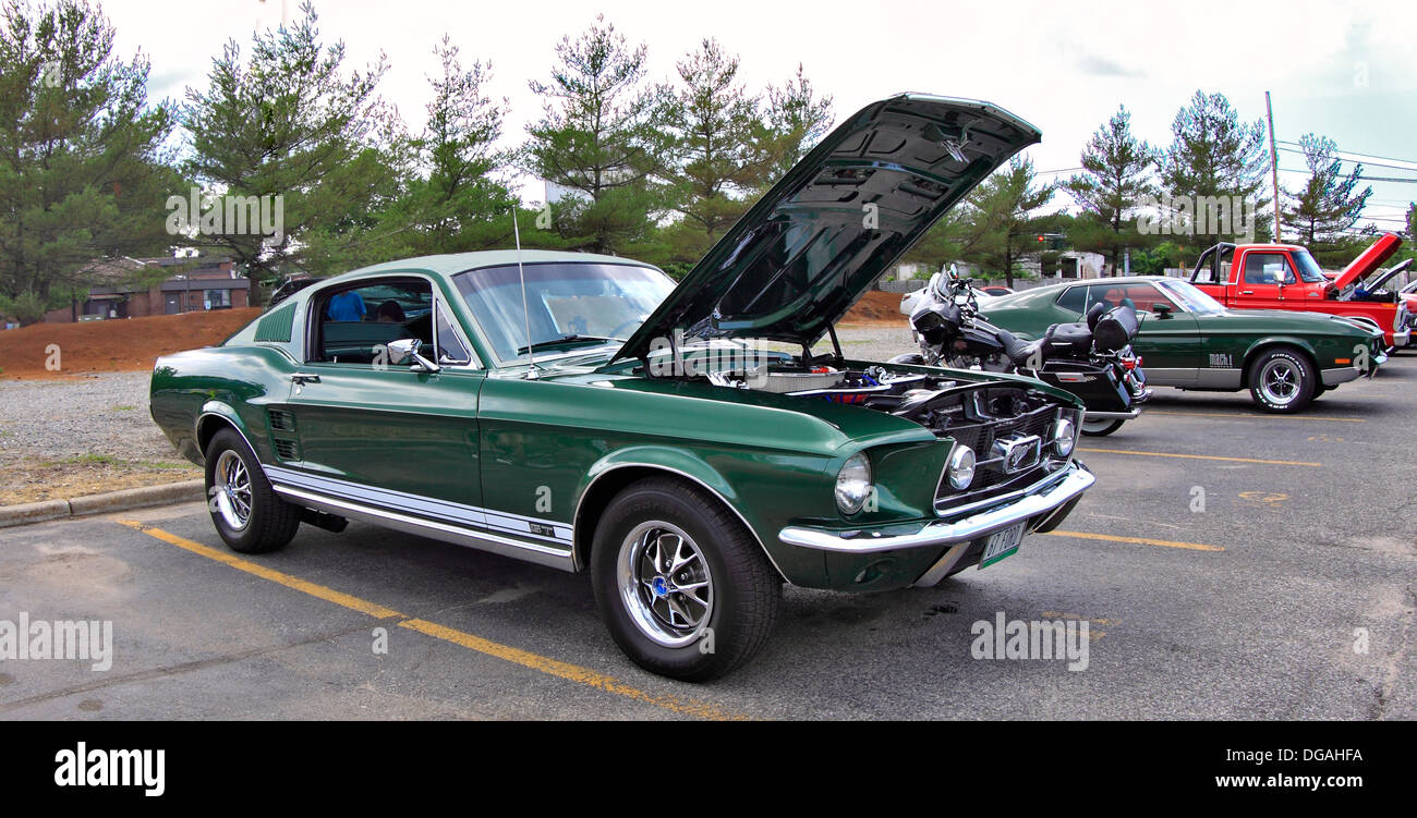 1967 Ford Mustang GT Fastback con 289 V8 motore ad alte prestazioni Long Island NY Foto Stock