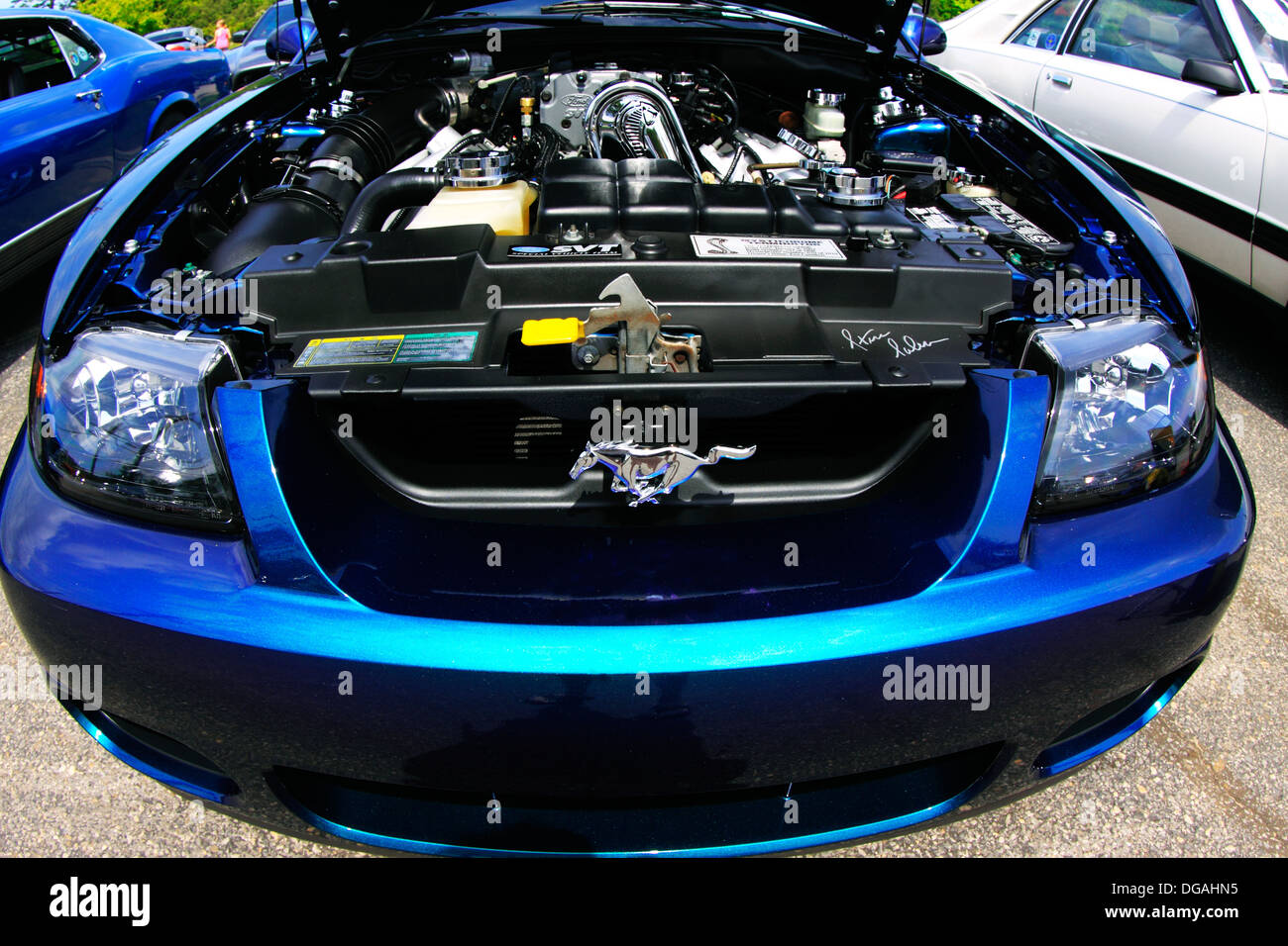 Classico Ford car show Long Island New York Foto Stock